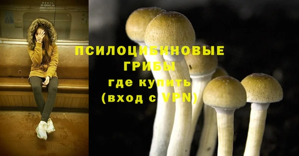 гидра Абаза