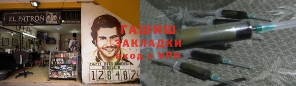 гидра Абаза