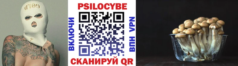 Псилоцибиновые грибы Cubensis  Урень 